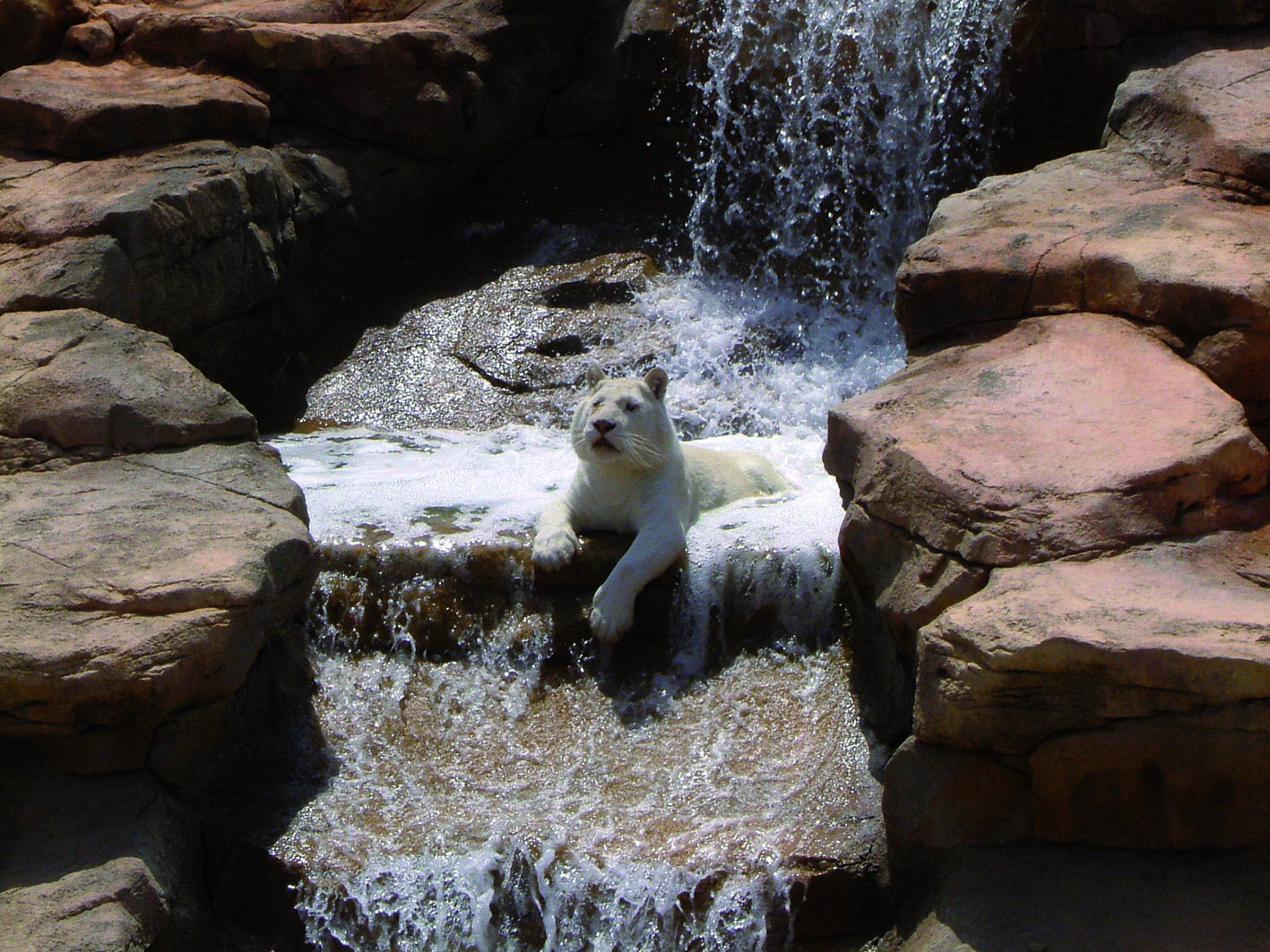 Image of Entrada al Parque Oasys / Mini Hollywood